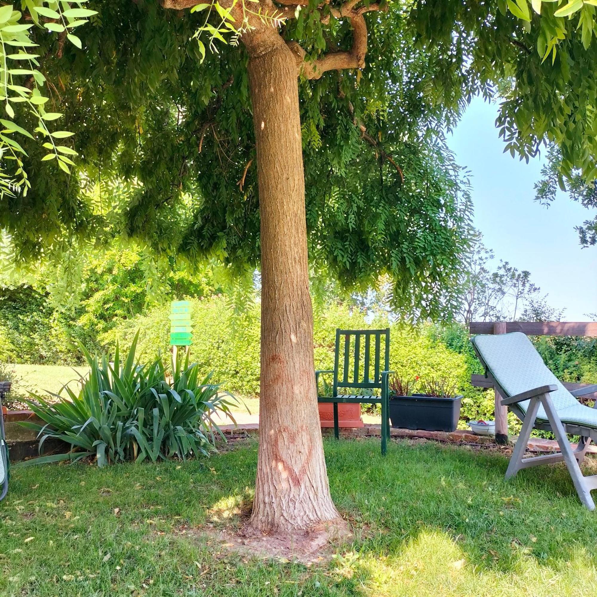 Ca' Dei Gelsi B & B Coriano Exteriör bild