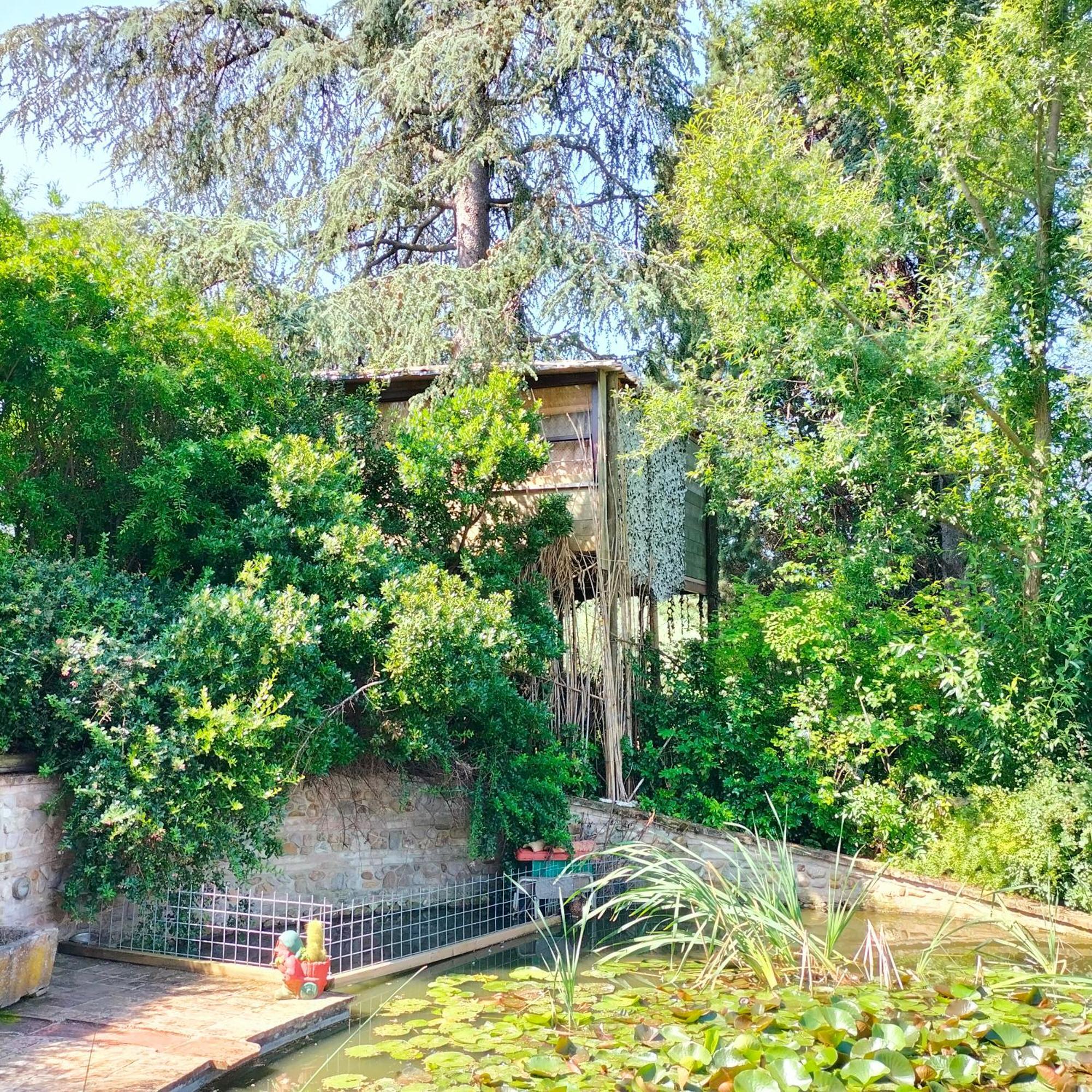 Ca' Dei Gelsi B & B Coriano Exteriör bild