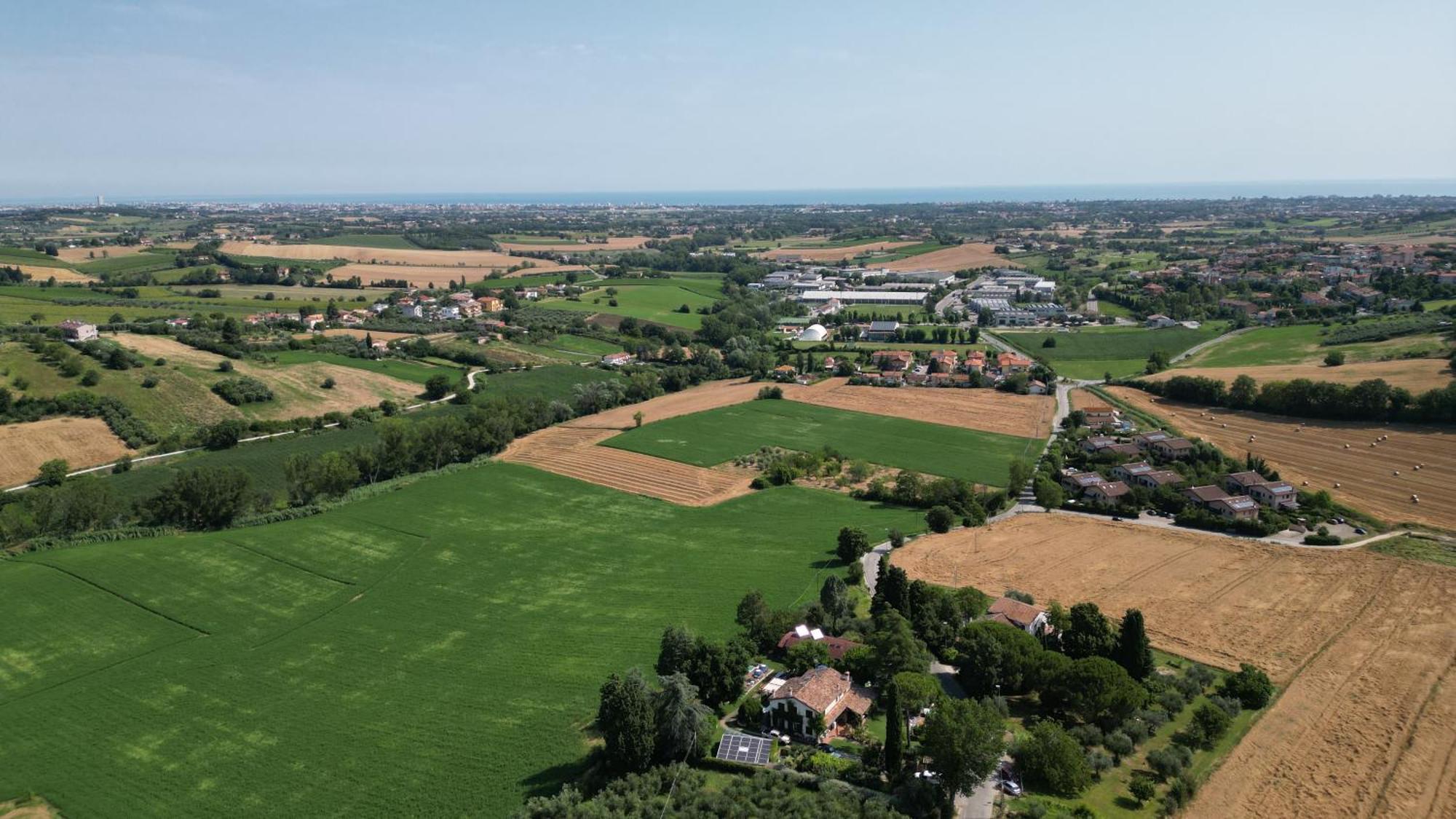 Ca' Dei Gelsi B & B Coriano Exteriör bild
