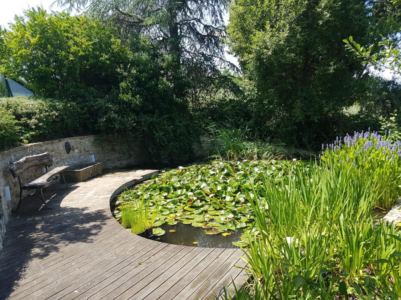 Ca' Dei Gelsi B & B Coriano Exteriör bild