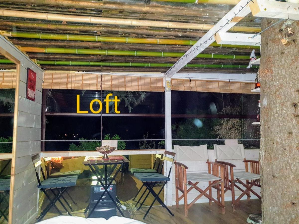 Ca' Dei Gelsi B & B Coriano Exteriör bild